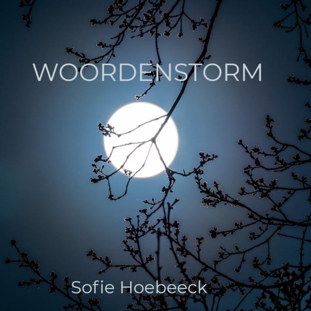 woordenstorm-Sofie-Hoebeeck
